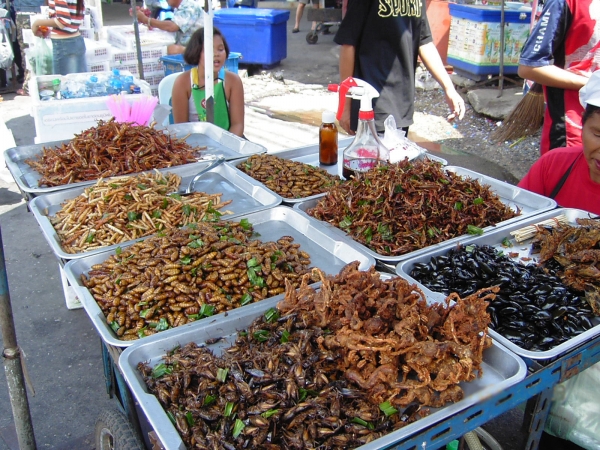 방콕의 식용곤충 판매대. ⓒ 위키피디아