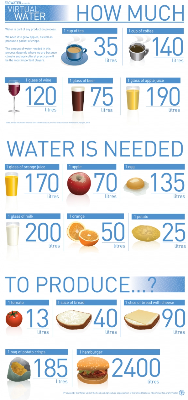 얼마나 많은 물이 필요한가? / FAO