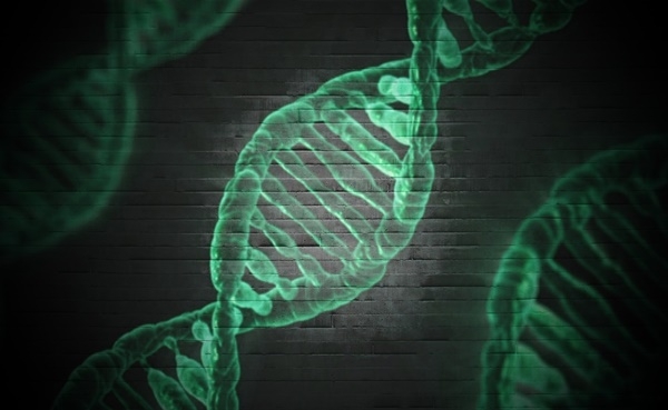 기술 융합 결과 DNA 정보를 판독해 과거 해결할 수 없던 일을 해결할 수 있게 됐다. (사진=픽사베이)