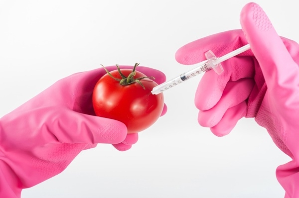 우리나라의 GMO식품에 대한 규제는 미국의 영향을 받을 확률이 크다. (사진=픽사베이)