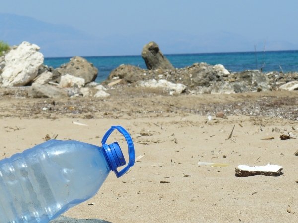 플라스틱이 해양 미생물에 나쁜 영향을 미친다. / Pixabay
