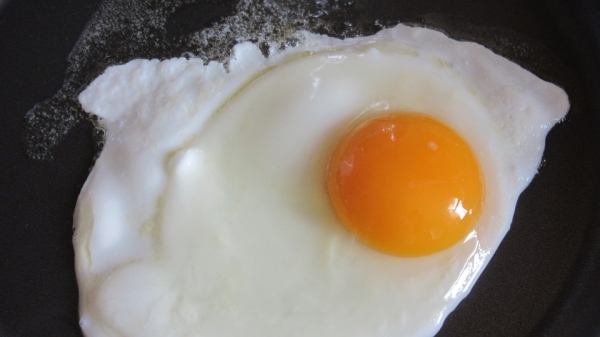 하루 달걀 1개는 뇌졸증에 영향을 미치지 않는다. / Pixabay