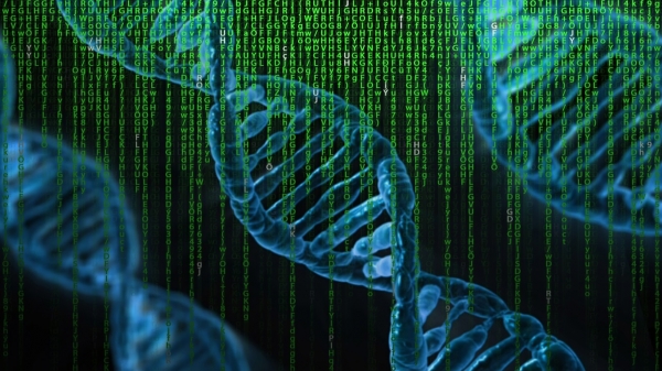 개인의 유전체를 해독하는 시기가 곧 올 것이다. credit:Pixabay
