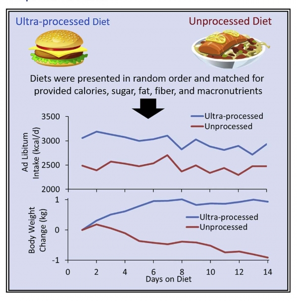 체중증가를 보여주는 그래프. credit : NIH
