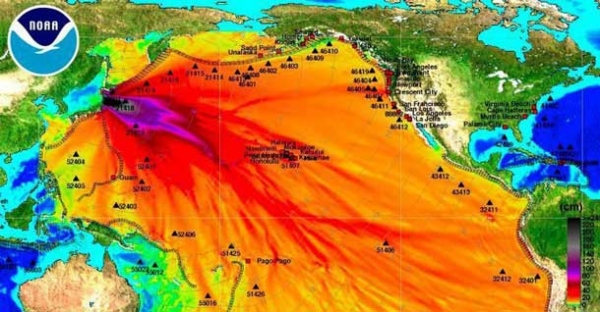 사진=후쿠시마 핵 재해에서 발생한 방사선 오염수의 NOAA 이미지 맵 /  netnewsledger.com