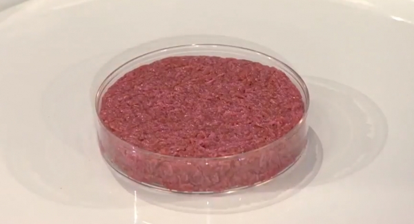 2013년 8월 튀겨지기 전의 햄버거의 인조 쇠고기 (사진=위키피디아)