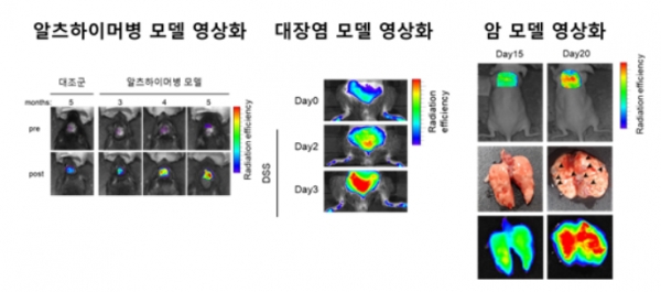 다양한 염증성 질환 모델에서 캐스페이즈-1 효소 표적 형광 영상화 기술을 통한 조기 진단 영상 (자료=키스트)