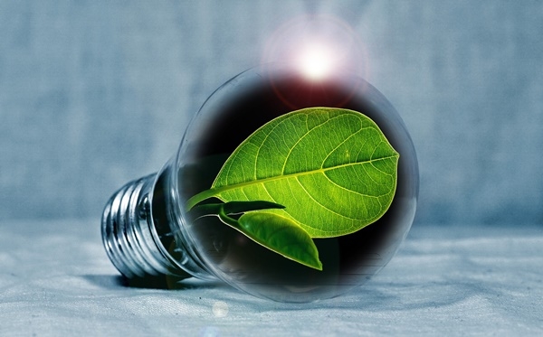 인공광합성 기술은 식물처럼 물과 햇빛, 이산화탄소를 이용해서 엽록소(사진)가 촉매제 역할을 하여 수소와 산소로 변환시키는 과정을 인공적으로 만드는 기술이다. (사진=픽사베이)