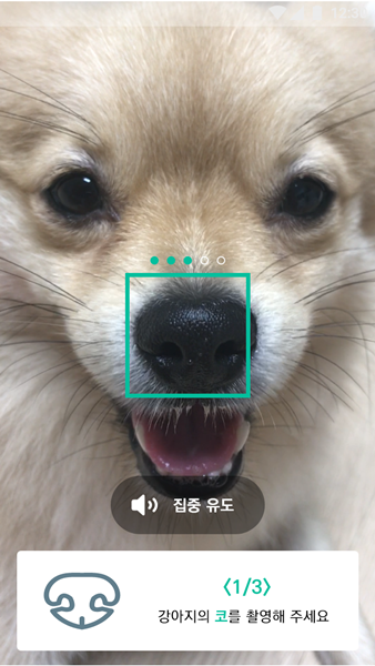 반려동물 정보를 등록하는 어플리케이션(앱) 화면. (사진=UNIST)